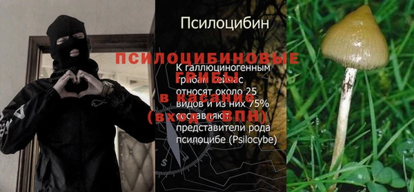 jwh Медвежьегорск