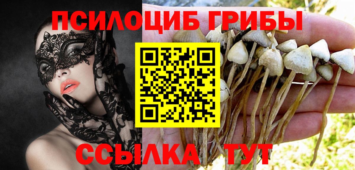 Галлюциногенные грибы прущие грибы Менделеевск