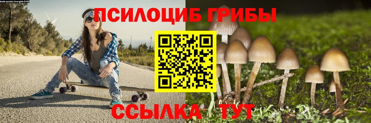 Менделеевск  Псилоцибиновые грибы мухоморы  Псилоцибиновые грибы Cubensis  Вход с VPN 