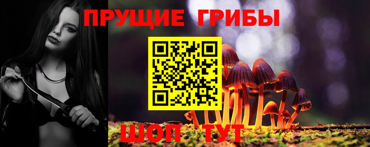 Галлюциногенные грибы мицелий Менделеевск